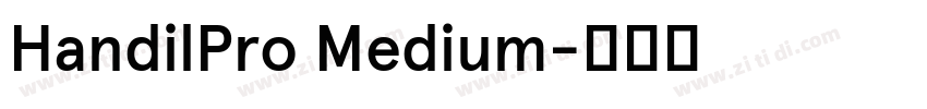 HandilPro Medium字体转换